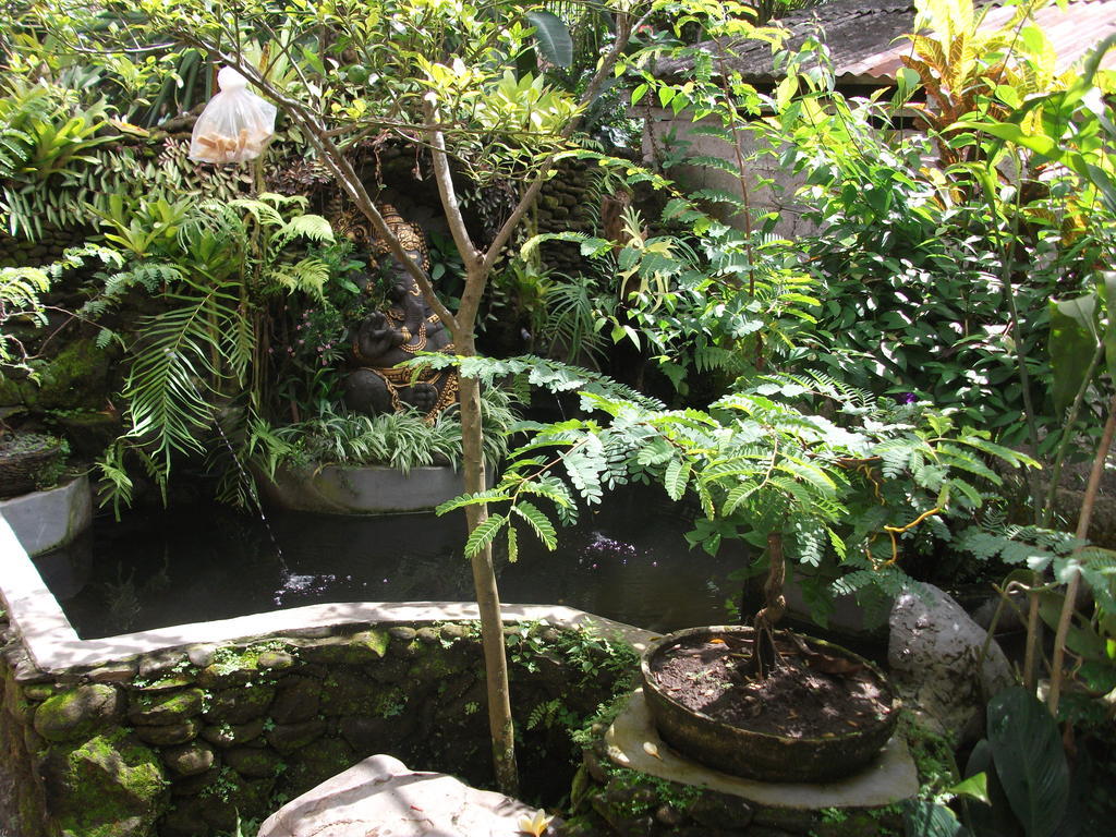 Arsa Homestay & Spa Ubud  Exterior photo